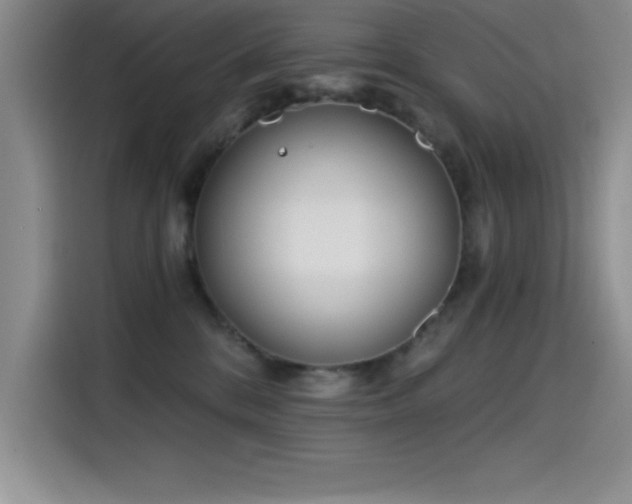X0000115240328200911061153