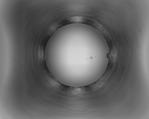 X0000115240330200911061153