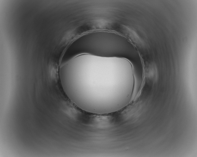 X0000115240332200911061153