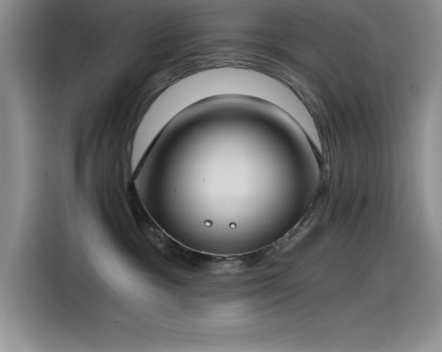 X0000115240333200911061153