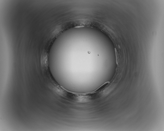 X0000115240336200911061152