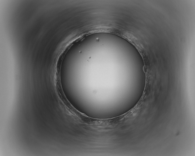 X0000115240338200911061152