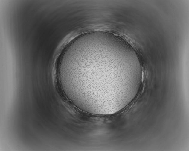 X0000115240339200911061152