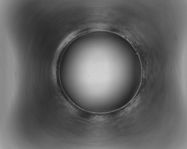 X0000115240341200911061152