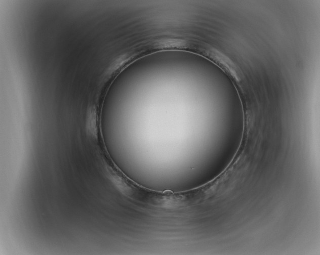 X0000115240345200911061152