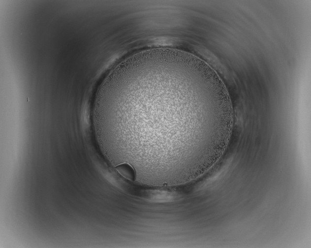 X0000115240347200911061152