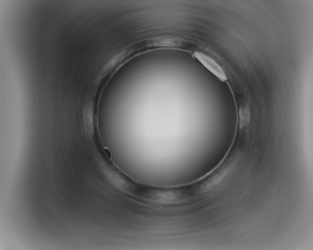 X0000115240349200911061152