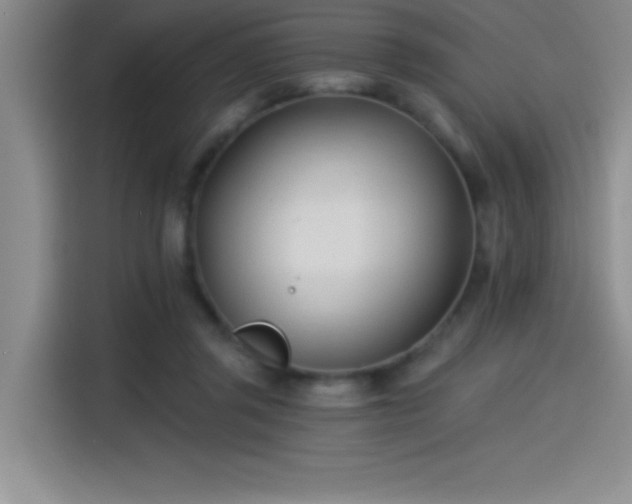 X0000115240357200911061152