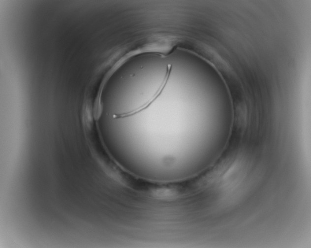 X0000115240358200911061152