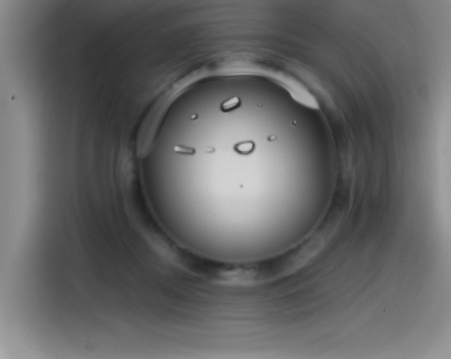 X0000115240362200911061152