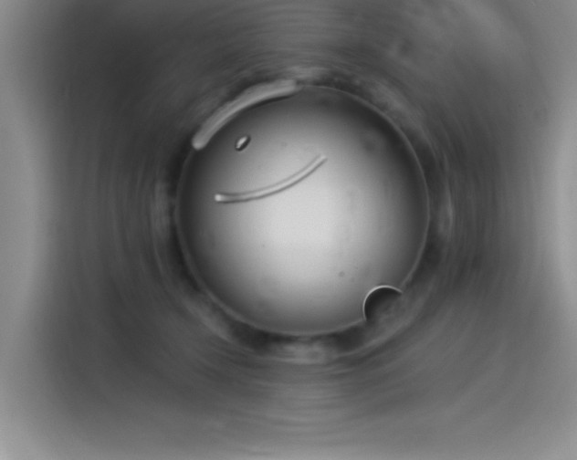 X0000115240366200911061152