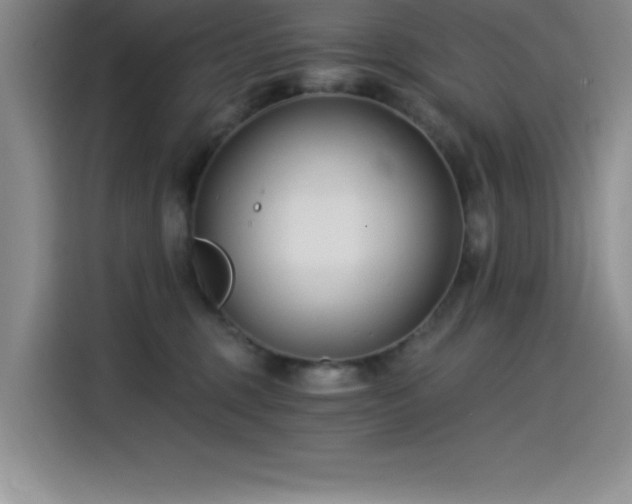X0000115240375200911061152