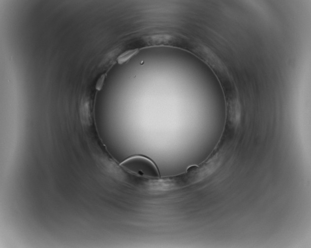 X0000115240378200911061152