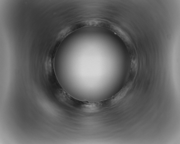 X0000115240381200911061152