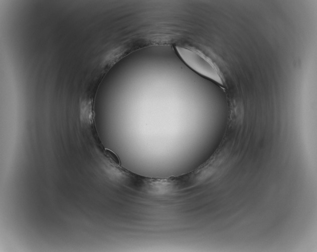 X0000115240383200911061152