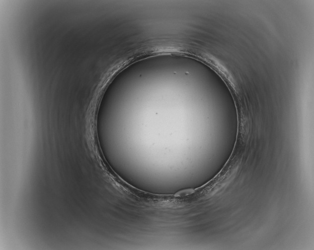 X0000115240385200911061152