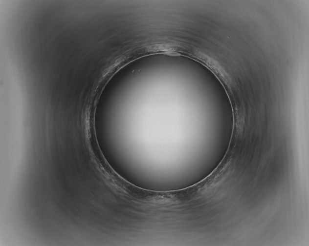 X0000115240386200911061152