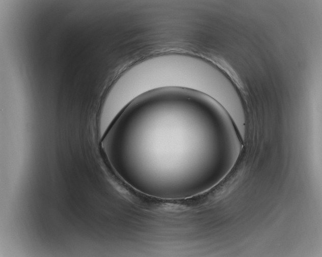 X0000115240393200911061152