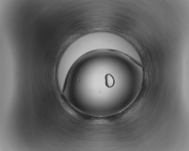 X0000115240397200911061152