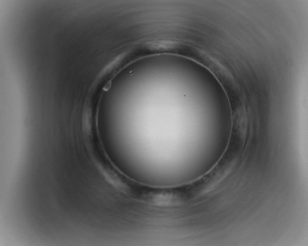 X0000115240400200911061152