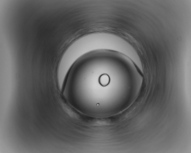 X0000115240405200911061152