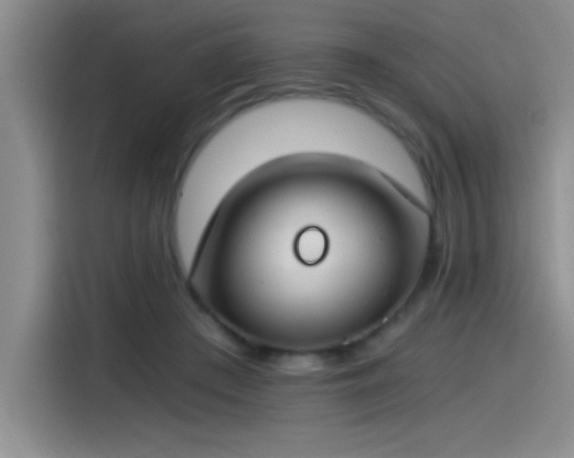 X0000115240409200911061152