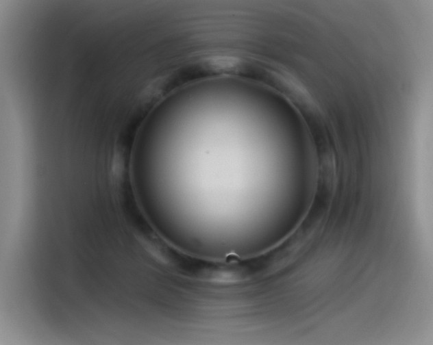 X0000115240412200911061151