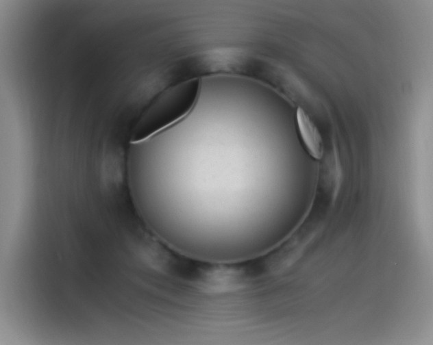 X0000115240413200911061151