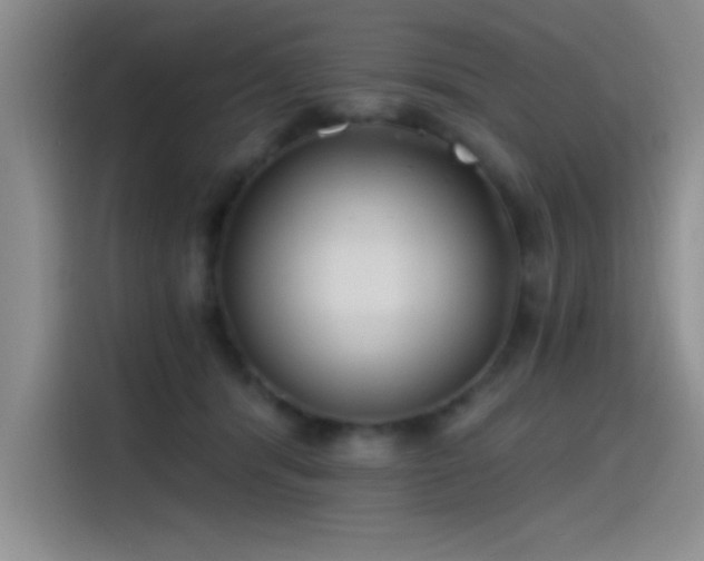 X0000115240416200911061151
