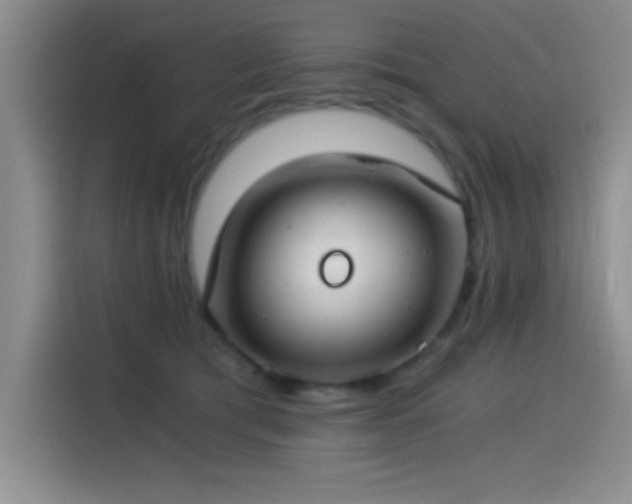 X0000115240417200911061151