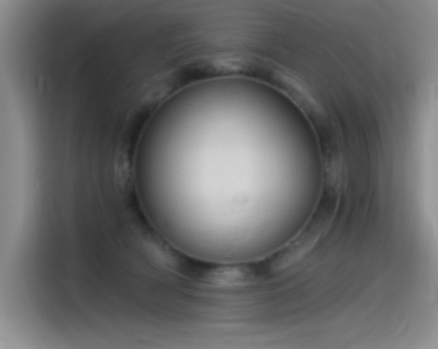 X0000115240418200911061151