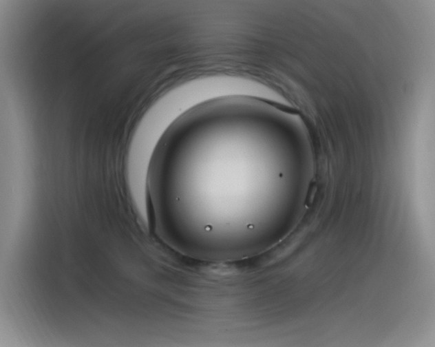 X0000115240421200911061151