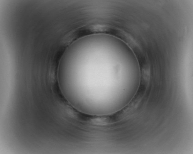 X0000115240422200911061151