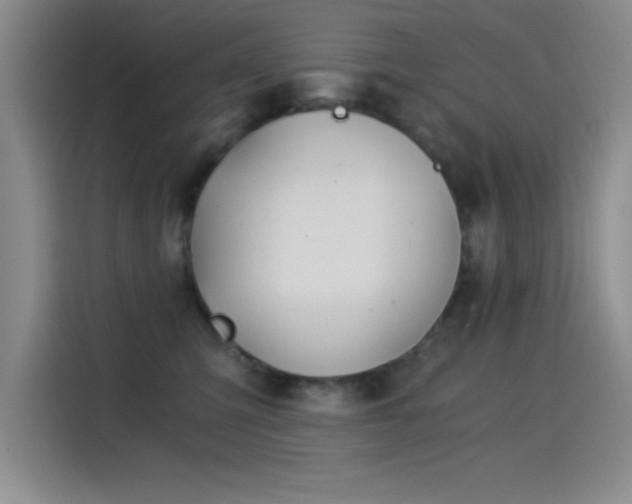 X0000115240423200911061151