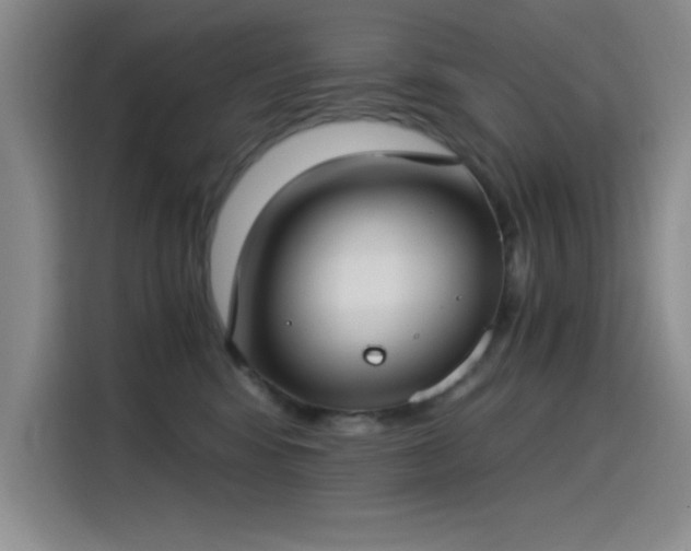 X0000115240424200911061151