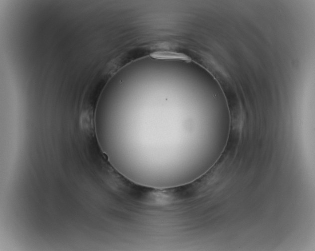 X0000115240425200911061151