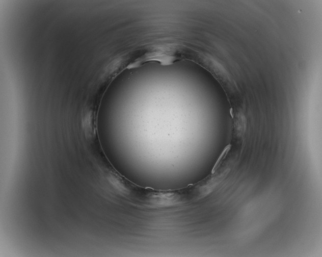 X0000115240428200911061151