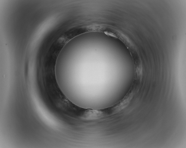 X0000115240429200911061151