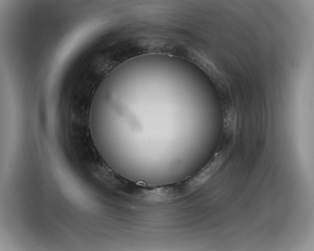 X0000115240430200911061151