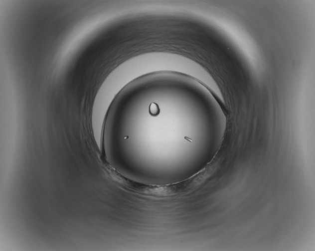 X0000115240431200911061151