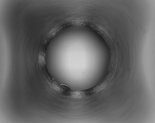 X0000115240432200911061151