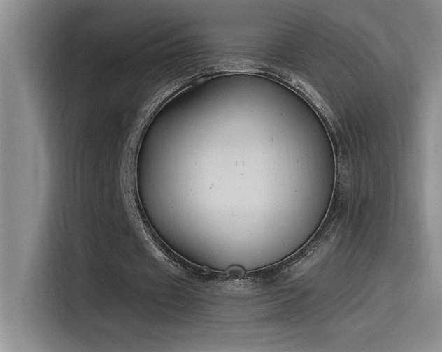 X0000115240433200911061151