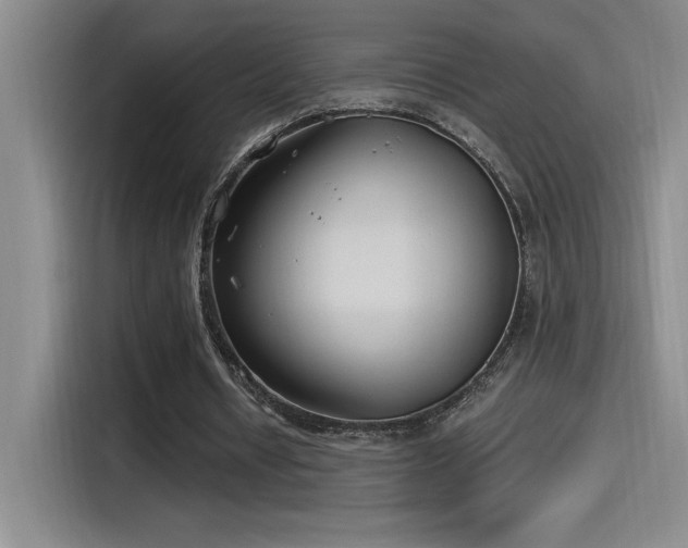 X0000115240434200911061151