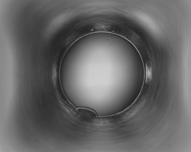 X0000115240435200911061151