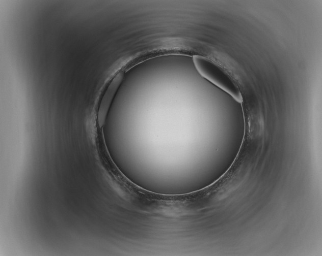 X0000115240436200911061151