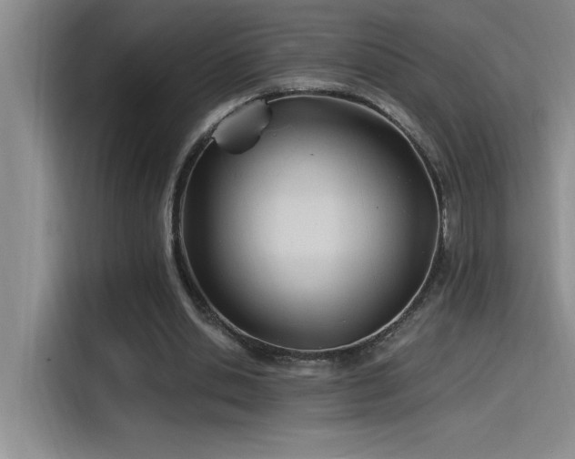 X0000115240438200911061151