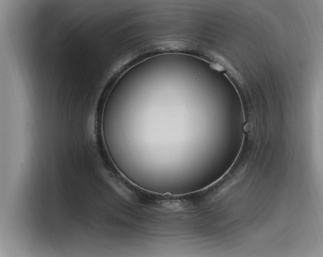 X0000115240439200911061151