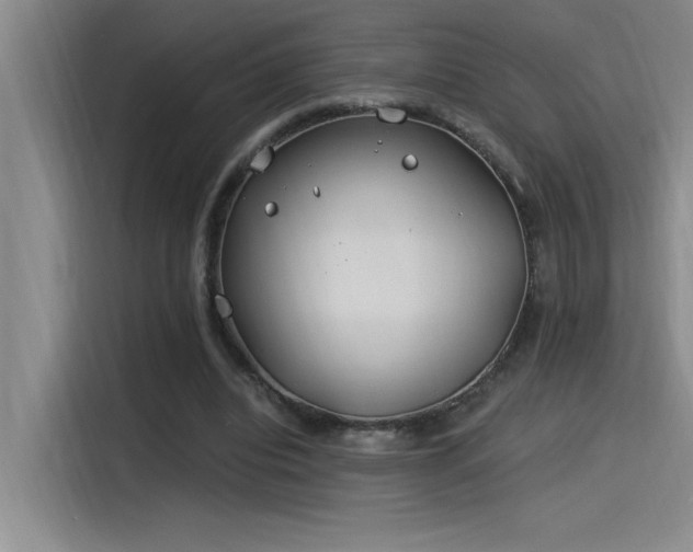 X0000115240440200911061151
