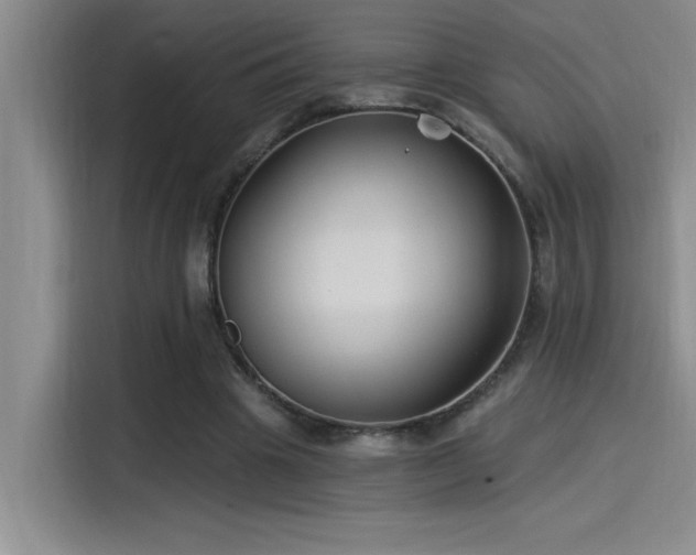 X0000115240441200911061151
