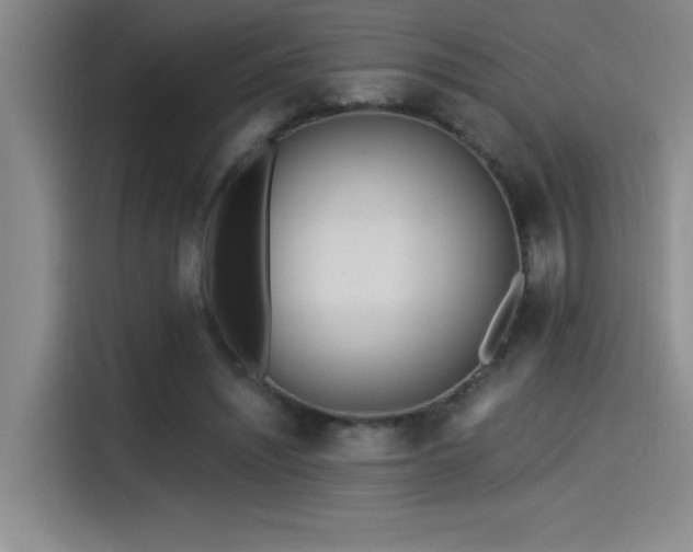 X0000115240444200911061151